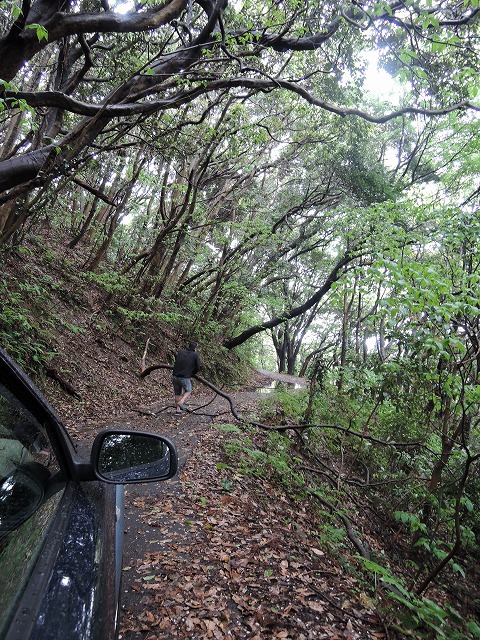 能古島キャンプ 能古島キャンプ