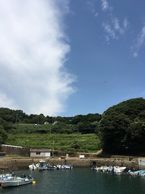 夏の釣り 夏の釣り