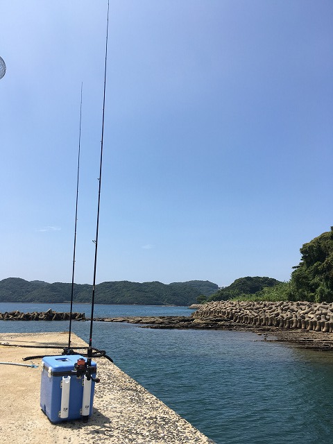 夏の釣り 夏の釣り