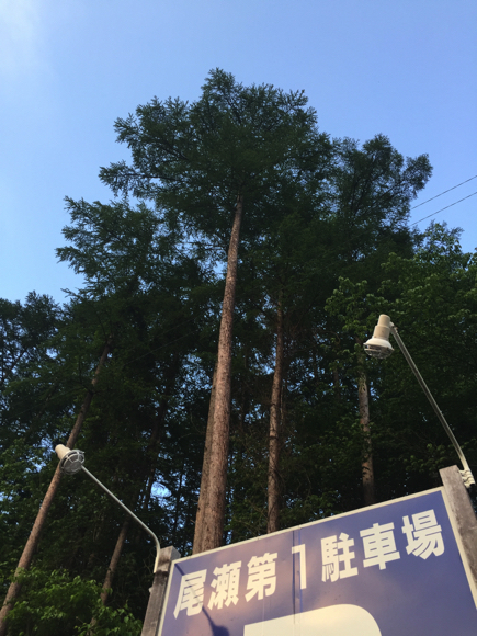 二年振りの尾瀬 其之壱 二年振りの尾瀬 其之壱