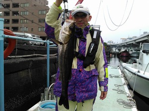 11月1日(土) D-marina釣果情報 11月1日(土) D-marina釣果情報