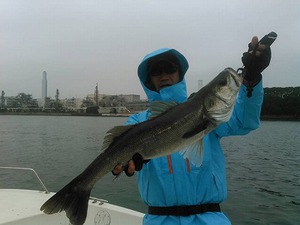 12月13日 D-marina釣果情報 12月13日 D-marina釣果情報