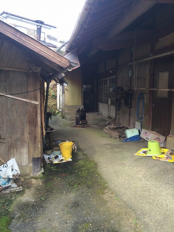 明けましておめでとうございます、今年も新しいことします 明けましておめでとうございます、今年も新しいことします