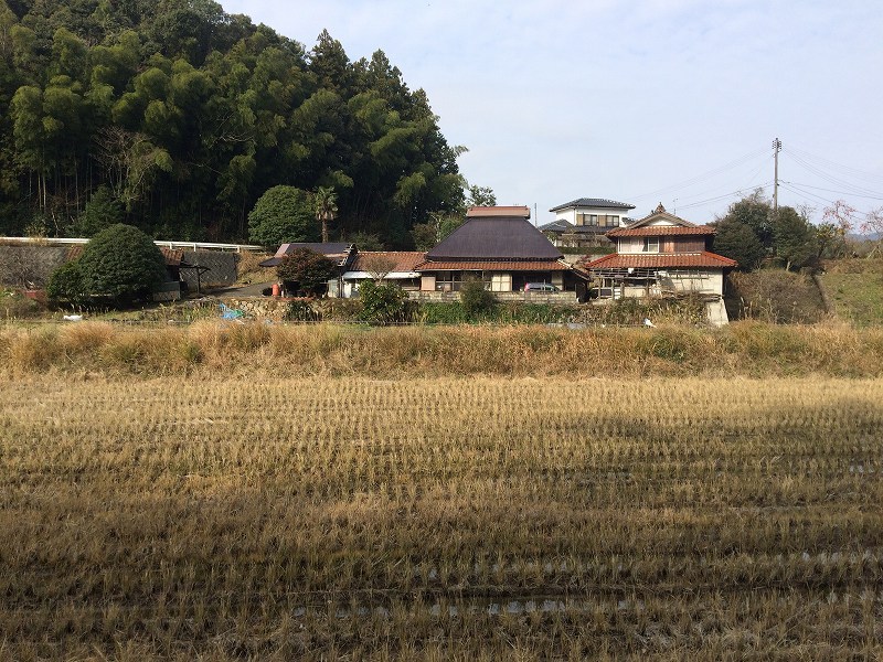 明けましておめでとうございます、今年も新しいことします 明けましておめでとうございます、今年も新しいことします