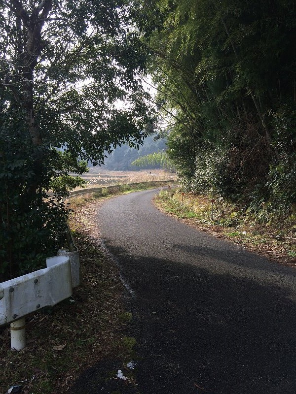 明けましておめでとうございます、今年も新しいことします 明けましておめでとうございます、今年も新しいことします