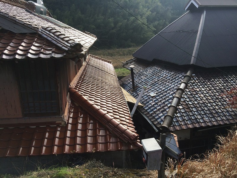 明けましておめでとうございます、今年も新しいことします 明けましておめでとうございます、今年も新しいことします