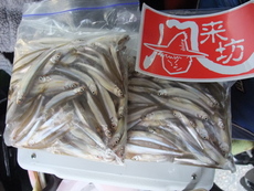 桧原湖ワカサギ釣り(屋形)