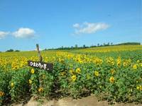 2007北海道ツーリング その2