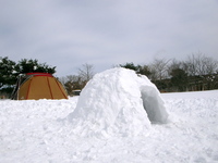雪中デビュ〜in朝霧...3