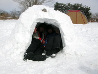 雪中デビュ〜in朝霧...3