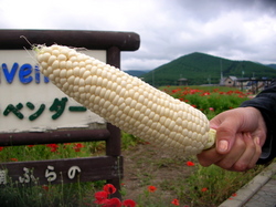 08夏タンデムツーリングin北海道5