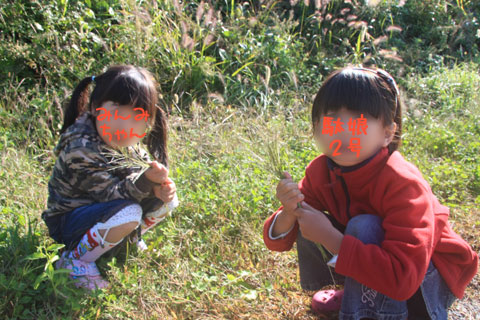 秋キャンプ「いなかの風」(2)