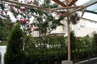 夏休み!いざ大阪へ~USJ~