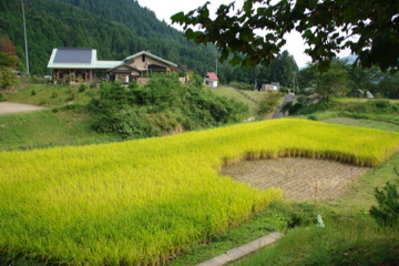 秋満喫キャンプ・湯の原温泉AC