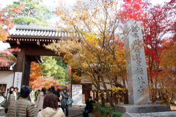 京都トレイル・大文字山