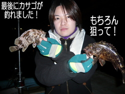 ジギングシーバスとカサゴのリレー釣り
