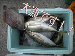 横浜から出港でこんな魚が釣れました!!