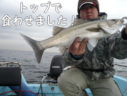 【横浜シーバス】トップででました!!