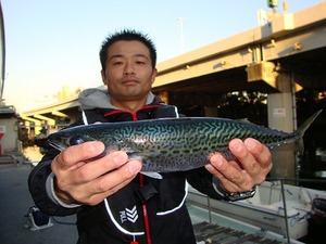 12月12日(月)D-marina釣果情報