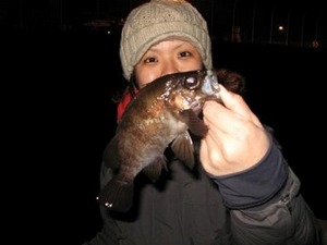 12月12日(月)D-marina釣果情報