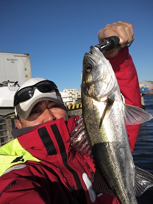 11月27日(火) D-marina釣果情報