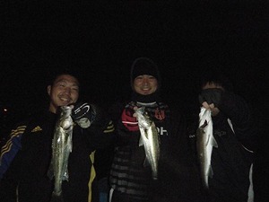 11月28日(水) D-marina釣果情報