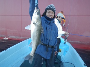12月1日(日) D-marina釣果情報
