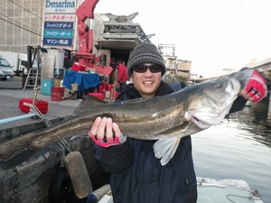 12月1日(日) D-marina釣果情報