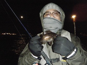 1月30日（水）　D-marina釣果情報　尺カサゴ