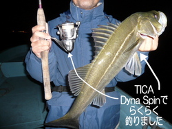 TICAリールで入れ食いです