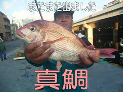 真鯛を狙う in 東京湾 パートⅡ