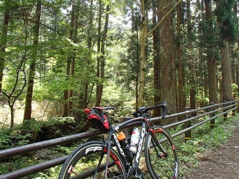月間走行1000km達成!智頭三滝ダムへ