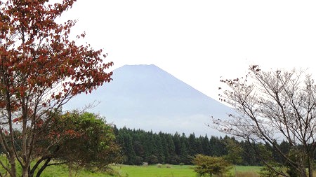 富士山外周を半周のツアー（湖から海へ）
