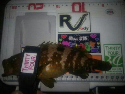 いきなりガブリン125F で! いきなりガブリン125F で!