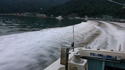 敦賀アオリ沖は好調 敦賀アオリ沖は好調