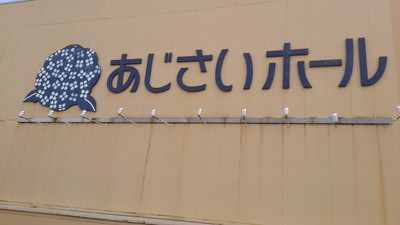 花畑コスモス掘り出しモノ 花畑コスモス掘り出しモノ