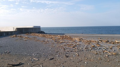 新潟遠征♪ 新潟遠征♪