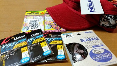 敦賀アジングサイズダウン 敦賀アジングサイズダウン