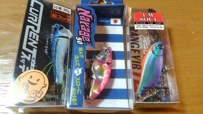 セール 早速到着! セール 早速到着!