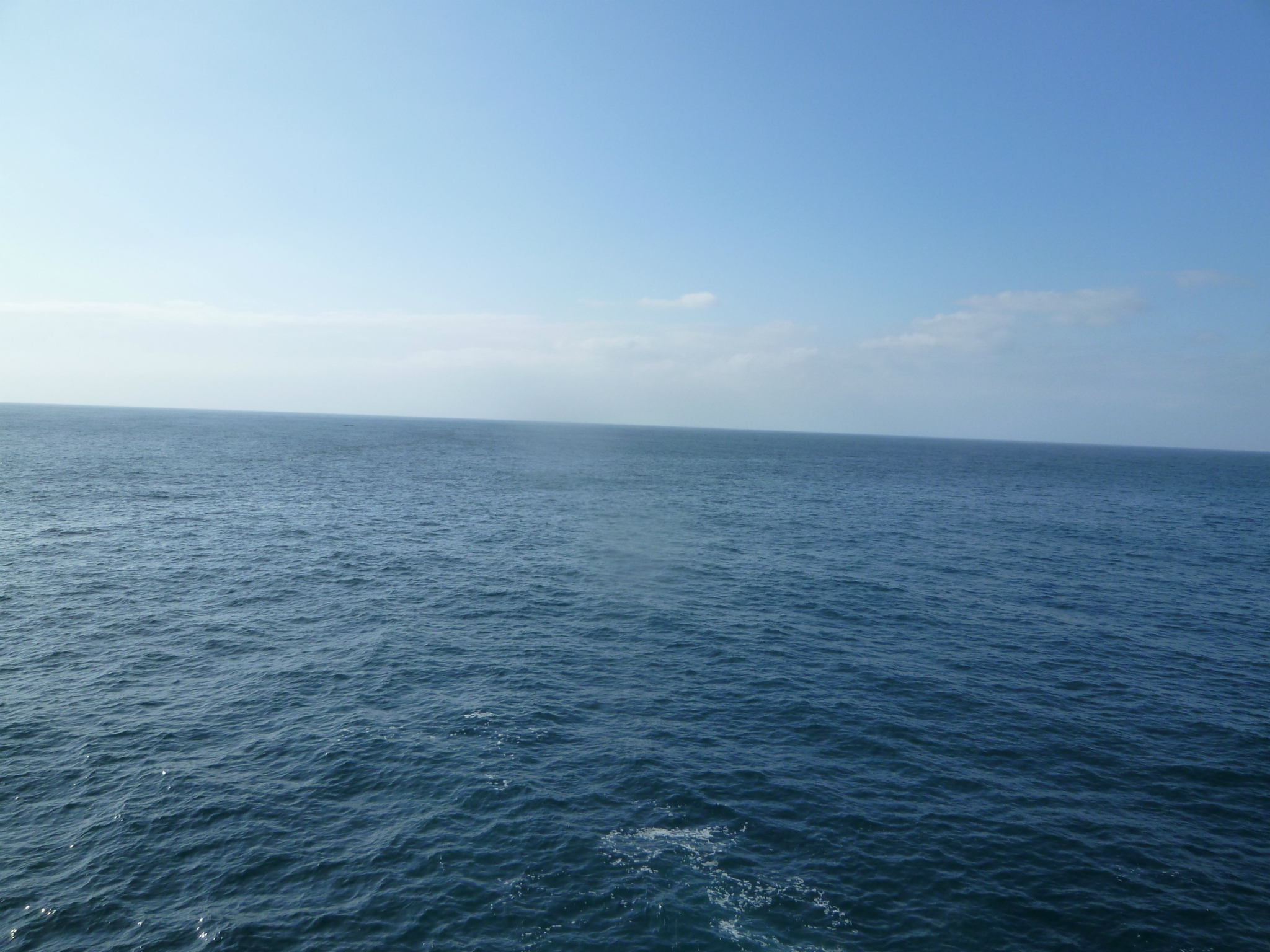 越前海岸釣行-あ~あ、沖ではお祭りかな・・・編- 越前海岸釣行-あ~あ、沖ではお祭りかな・・・編-