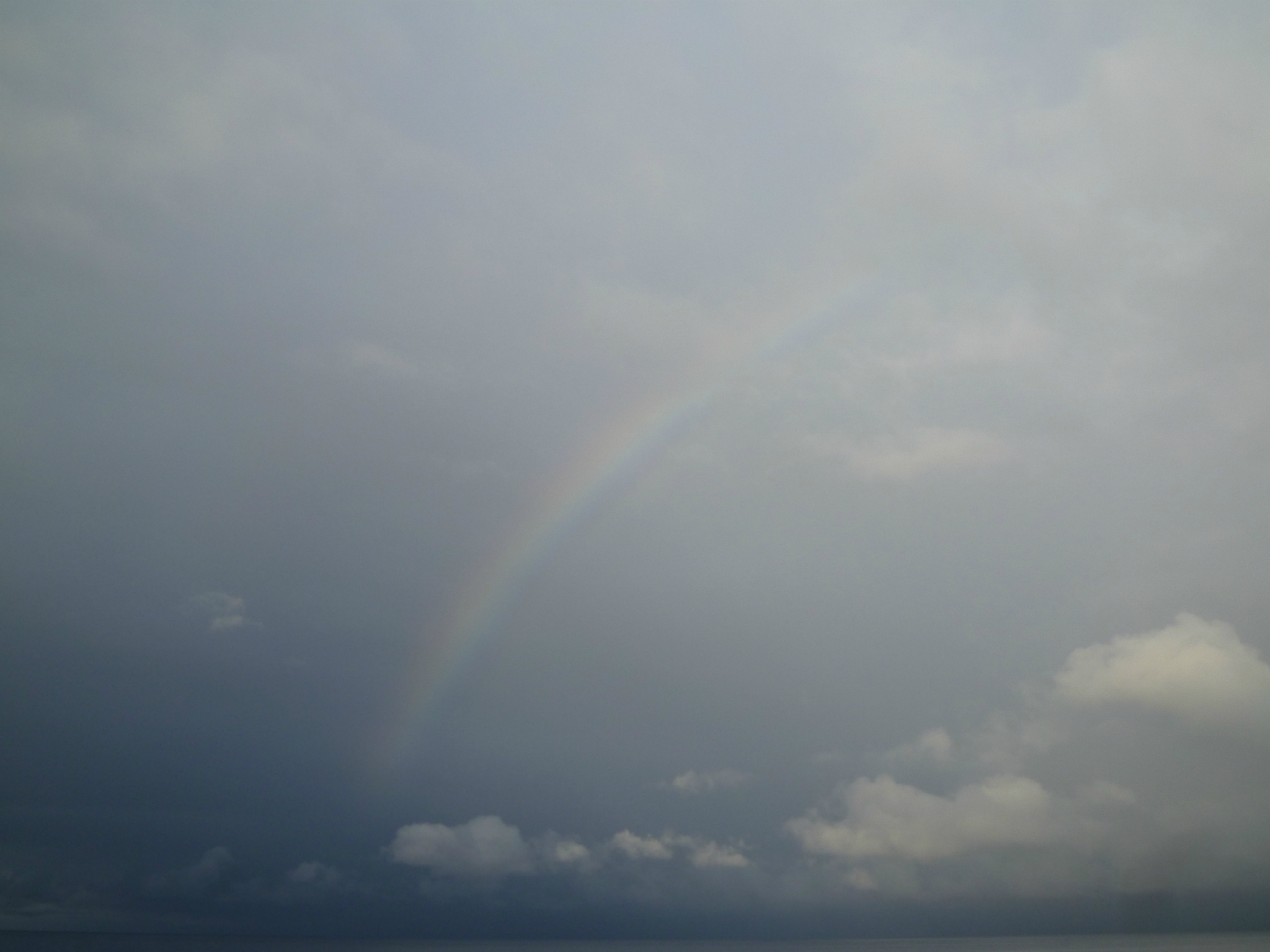 越前海岸釣行-虹だ~霧だ~雨だ~魚は?編- 越前海岸釣行-虹だ~霧だ~雨だ~魚は?編-