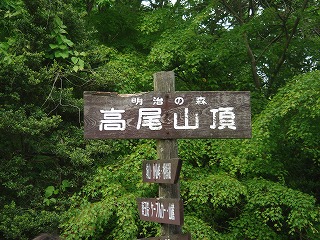 高尾山 6号路~稲荷山コース
