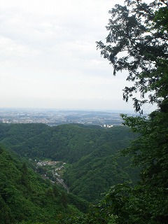 高尾山 6号路~稲荷山コース