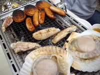 9/20(日)下田ボート青物調査報告 祭り?