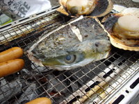 9/20(日)下田ボート青物調査報告 祭り?