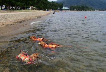 琵琶湖　知内浜オートキャンプ場　2013年8月4日～６日