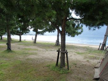 琵琶湖　知内浜オートキャンプ場　2013年8月4日～６日