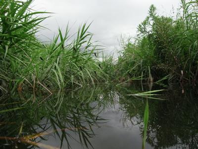 Ashiya River Hunting Diary