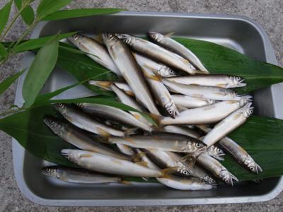 日曜のこと