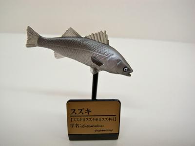 獲ったど〜